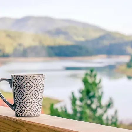 Terase Guest house 3*